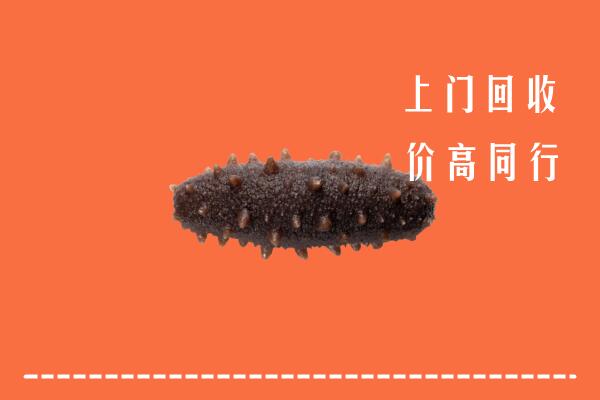 高价求购：黄骅市回收海参