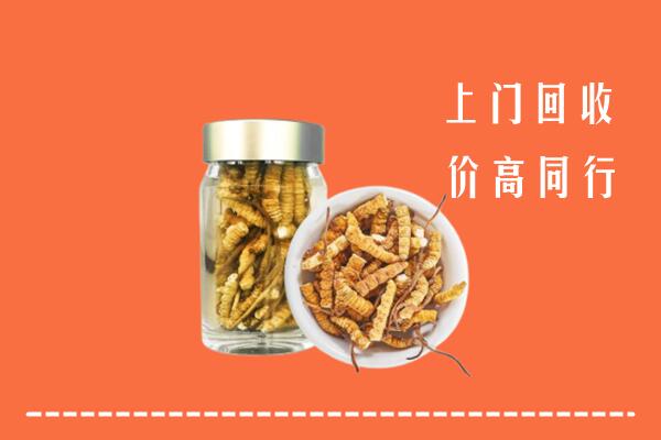 黄骅市回收冬虫夏草