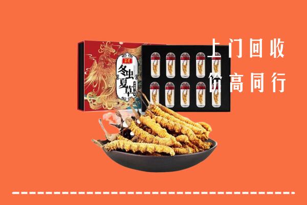 黄骅市回收虫草